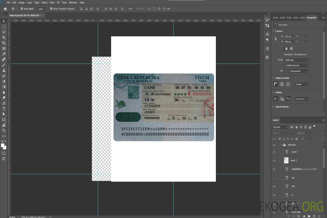 Visa TCHÈQUE template